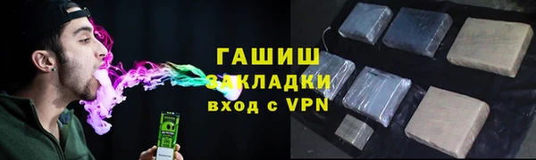 стаф Алзамай