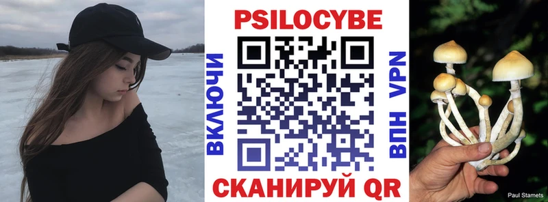 Псилоцибиновые грибы Cubensis Рыбное
